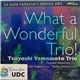 Tsuyoshi Yamamoto Trio - What A Wonderful Trio!